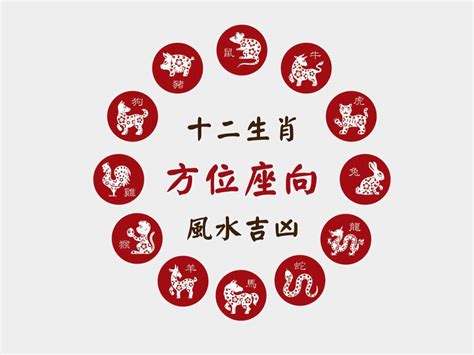 屬豬座像|肖豬座向及吉祥號碼數字